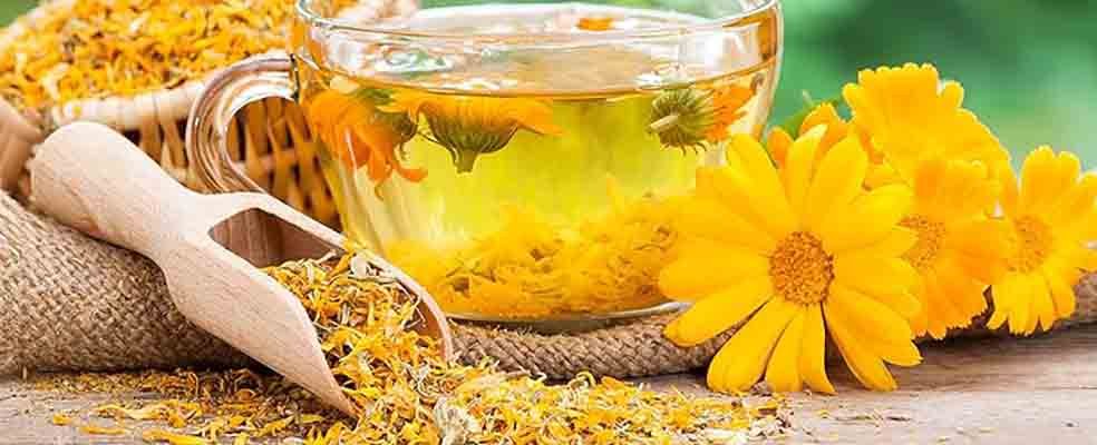 INFUSIONES DE INVIERNO UNA CALIDA Y RECONFORTANTE EXPERIENCIA